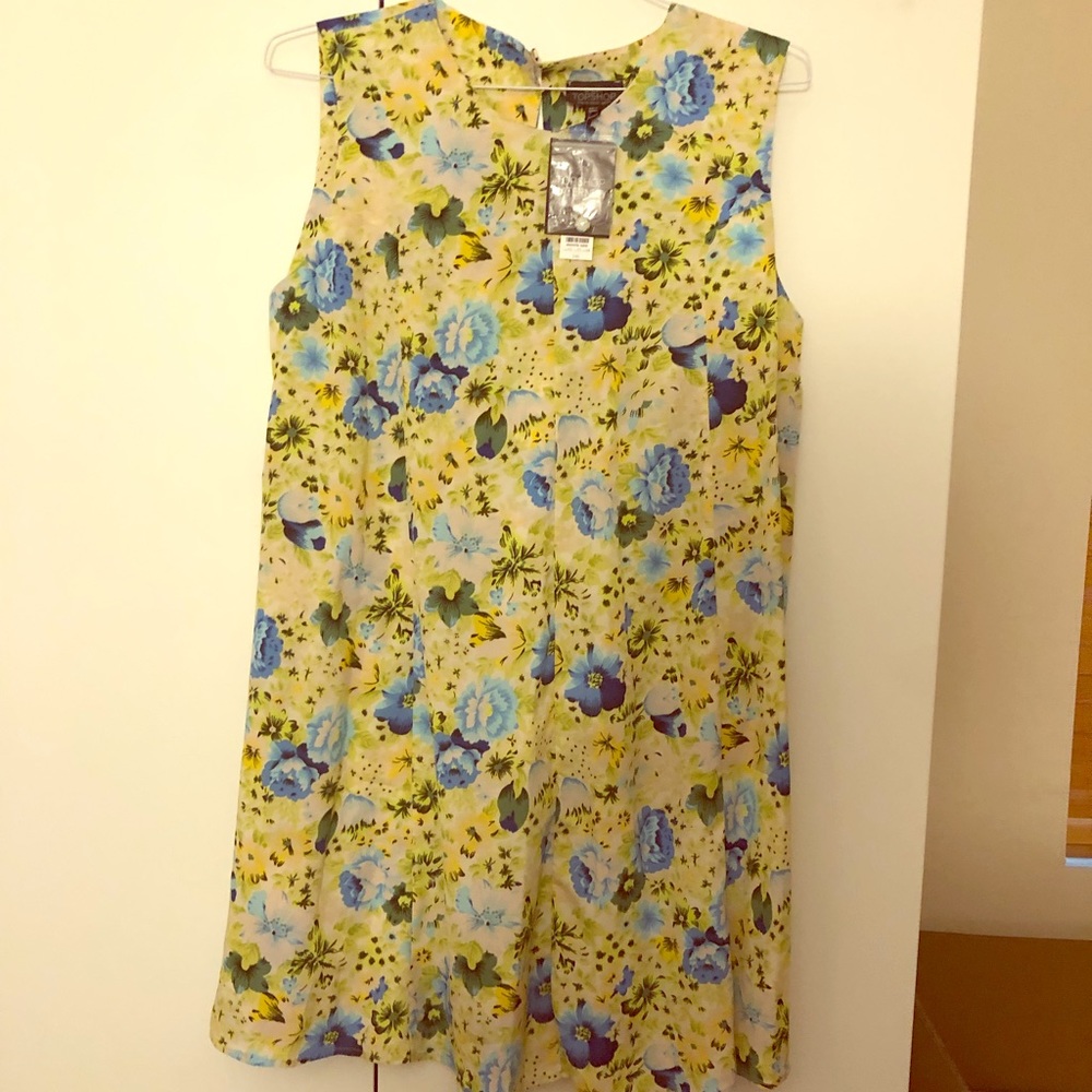TopShop Maternity Dress